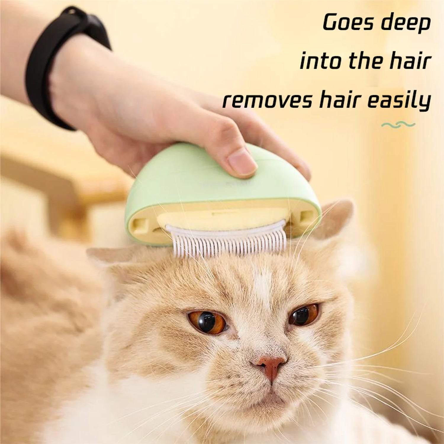 😻Cat’s “beauty secrets”: revealing the little blessings of grooming🥰