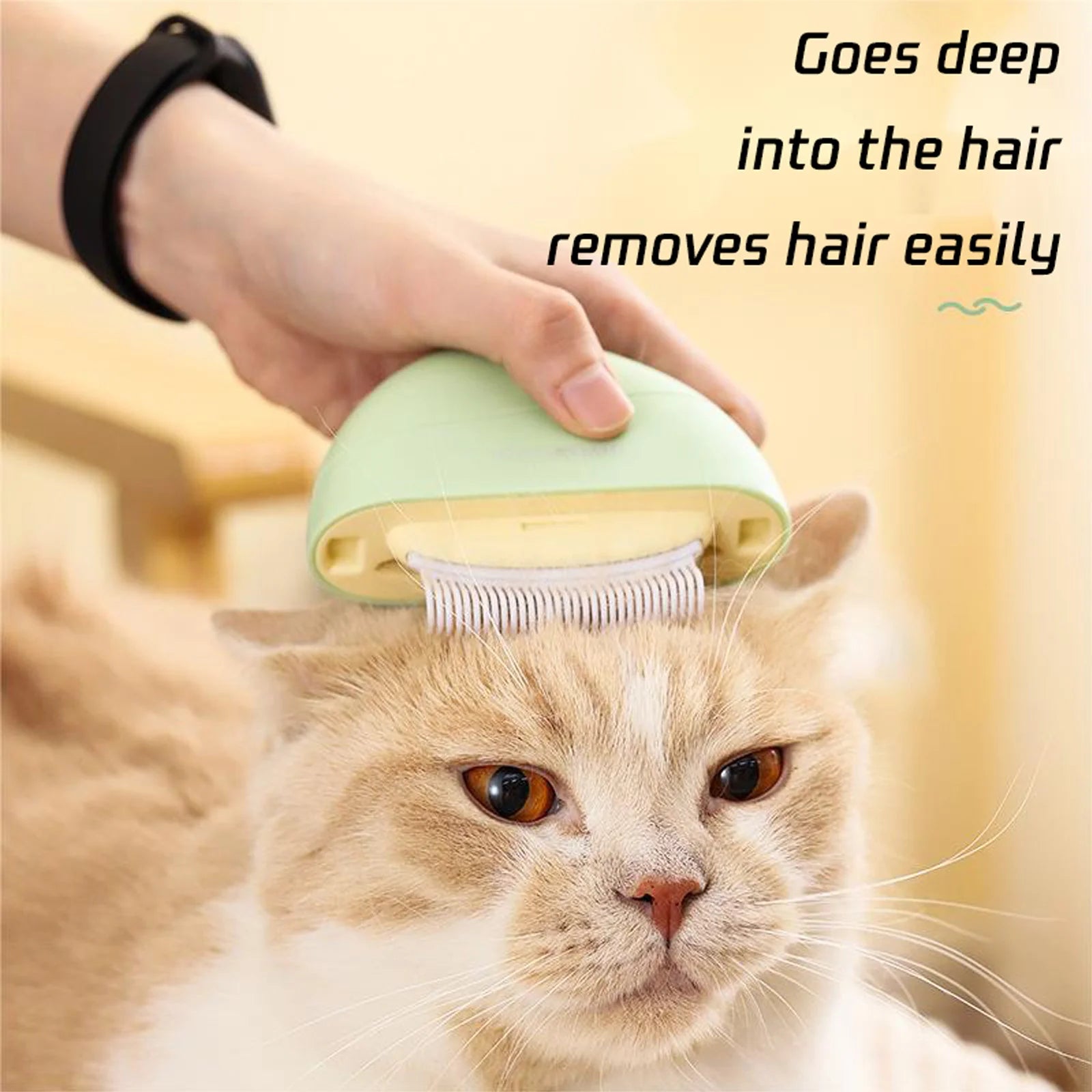 😻Cat’s “beauty secrets”: revealing the little blessings of grooming🥰