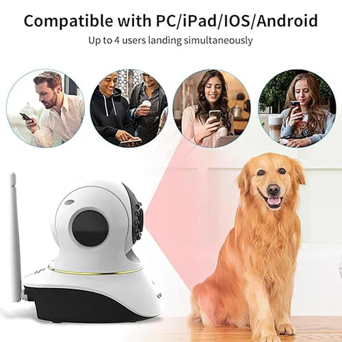 🌟Raindme Laser Pet Monitor: The Ultimate Pet Companion, Keeping Your Furry Friends Entertained! 🌟