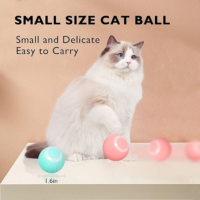 Interactive Cat Ball Toy