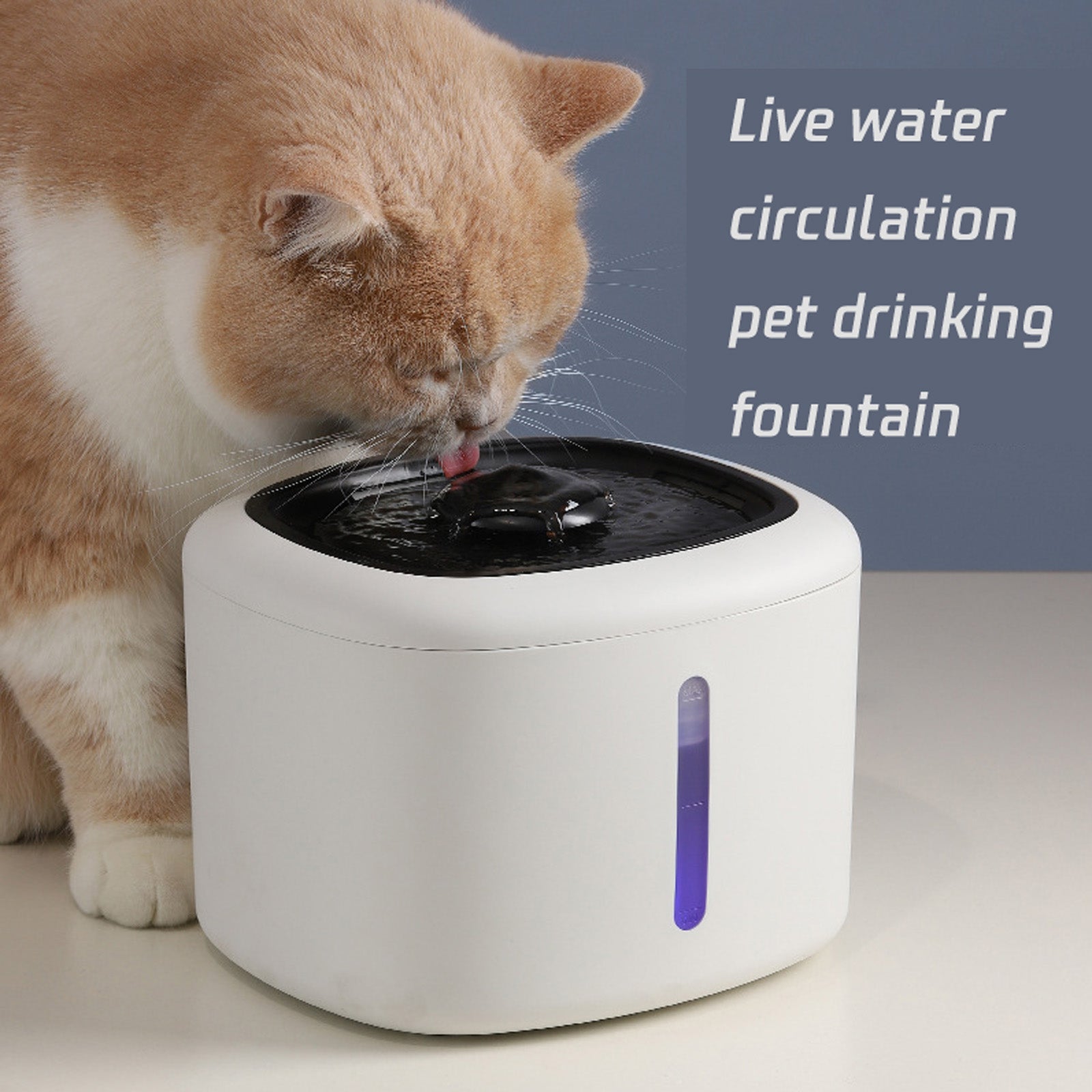 Silent Smart Pet Drinking Fountain