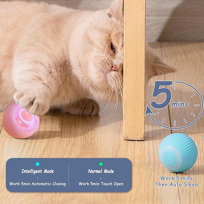 Interactive Cat Ball Toy